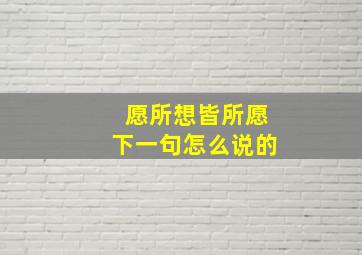 愿所想皆所愿下一句怎么说的