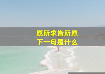 愿所求皆所愿下一句是什么