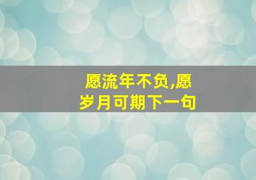 愿流年不负,愿岁月可期下一句