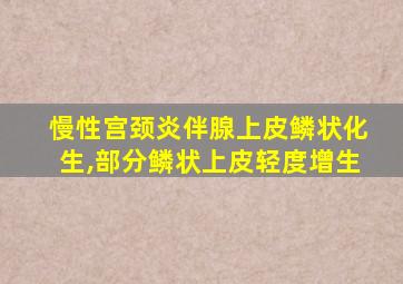 慢性宫颈炎伴腺上皮鳞状化生,部分鳞状上皮轻度增生