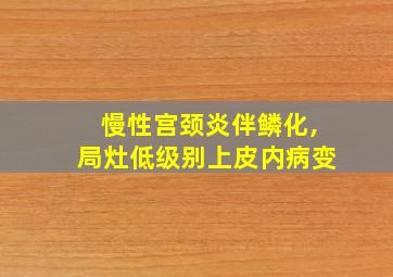 慢性宫颈炎伴鳞化,局灶低级别上皮内病变