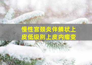 慢性宫颈炎伴鳞状上皮低级别上皮内瘤变