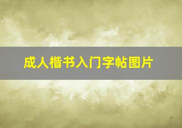 成人楷书入门字帖图片