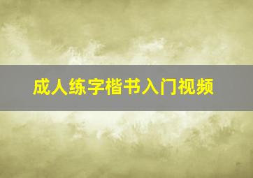 成人练字楷书入门视频