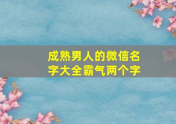 成熟男人的微信名字大全霸气两个字