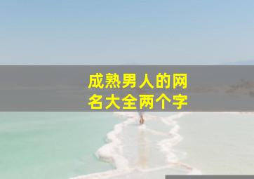 成熟男人的网名大全两个字