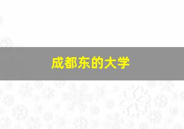 成都东的大学