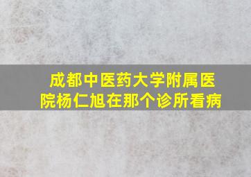 成都中医药大学附属医院杨仁旭在那个诊所看病