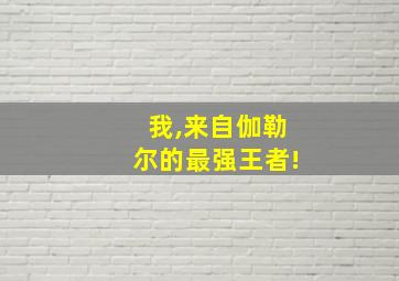 我,来自伽勒尔的最强王者!