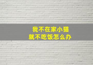 我不在家小猫就不吃饭怎么办