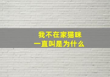 我不在家猫咪一直叫是为什么