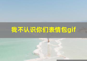 我不认识你们表情包gif