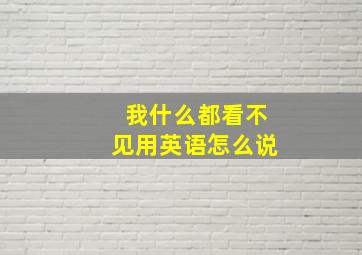 我什么都看不见用英语怎么说