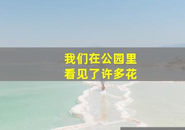 我们在公园里看见了许多花