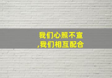 我们心照不宣,我们相互配合