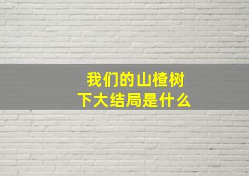 我们的山楂树下大结局是什么