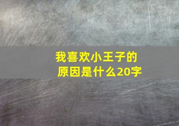 我喜欢小王子的原因是什么20字