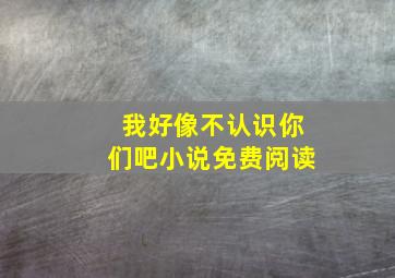 我好像不认识你们吧小说免费阅读