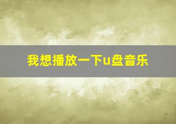 我想播放一下u盘音乐