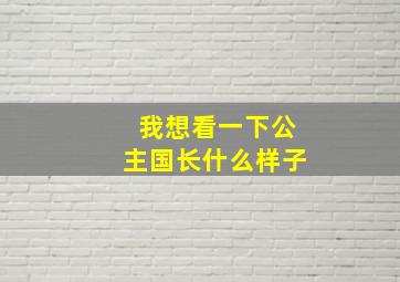 我想看一下公主国长什么样子