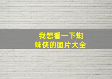 我想看一下蜘蛛侠的图片大全