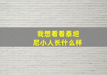 我想看看泰坦尼小人长什么样