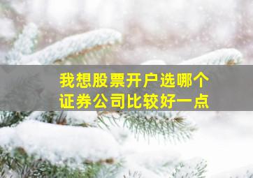 我想股票开户选哪个证券公司比较好一点