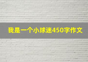 我是一个小球迷450字作文