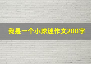 我是一个小球迷作文200字