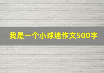 我是一个小球迷作文500字