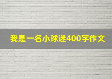 我是一名小球迷400字作文