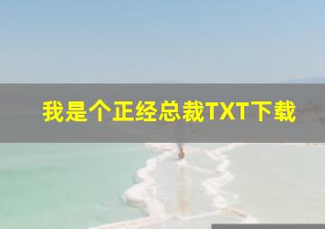 我是个正经总裁TXT下载