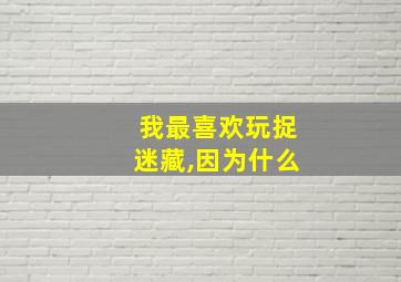 我最喜欢玩捉迷藏,因为什么