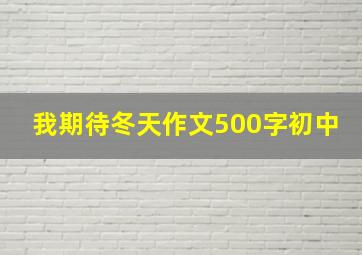 我期待冬天作文500字初中