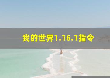 我的世界1.16.1指令