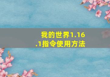 我的世界1.16.1指令使用方法