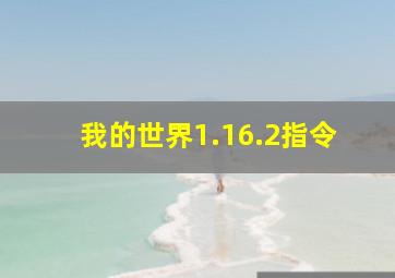 我的世界1.16.2指令