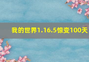 我的世界1.16.5惊变100天