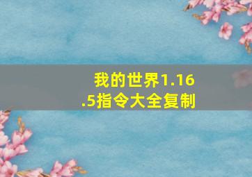 我的世界1.16.5指令大全复制