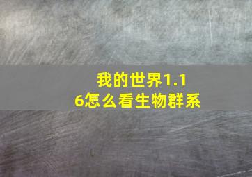 我的世界1.16怎么看生物群系