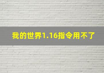 我的世界1.16指令用不了