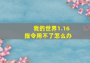 我的世界1.16指令用不了怎么办