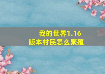 我的世界1.16版本村民怎么繁殖