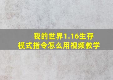 我的世界1.16生存模式指令怎么用视频教学