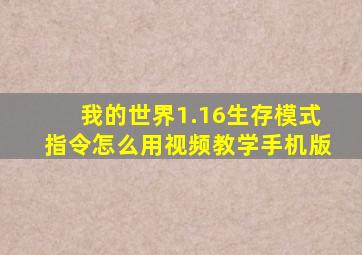 我的世界1.16生存模式指令怎么用视频教学手机版