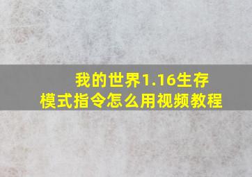 我的世界1.16生存模式指令怎么用视频教程