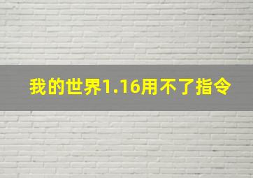 我的世界1.16用不了指令