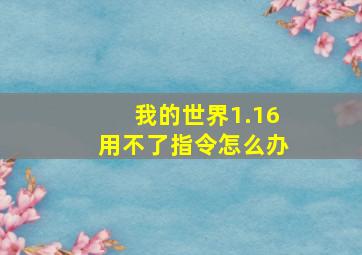 我的世界1.16用不了指令怎么办