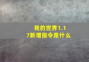 我的世界1.17新增指令是什么