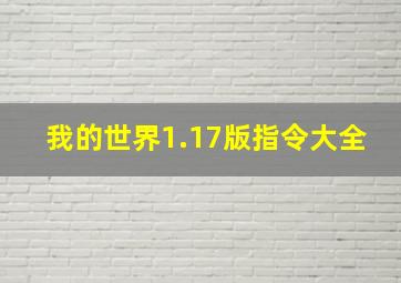 我的世界1.17版指令大全